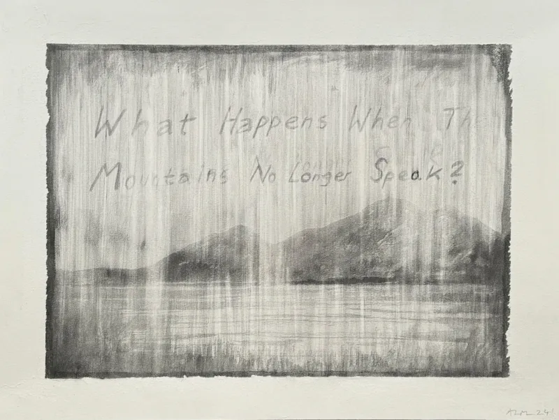 Asmund Havsteen-Mikkelsen: What Happens When ..., 2024