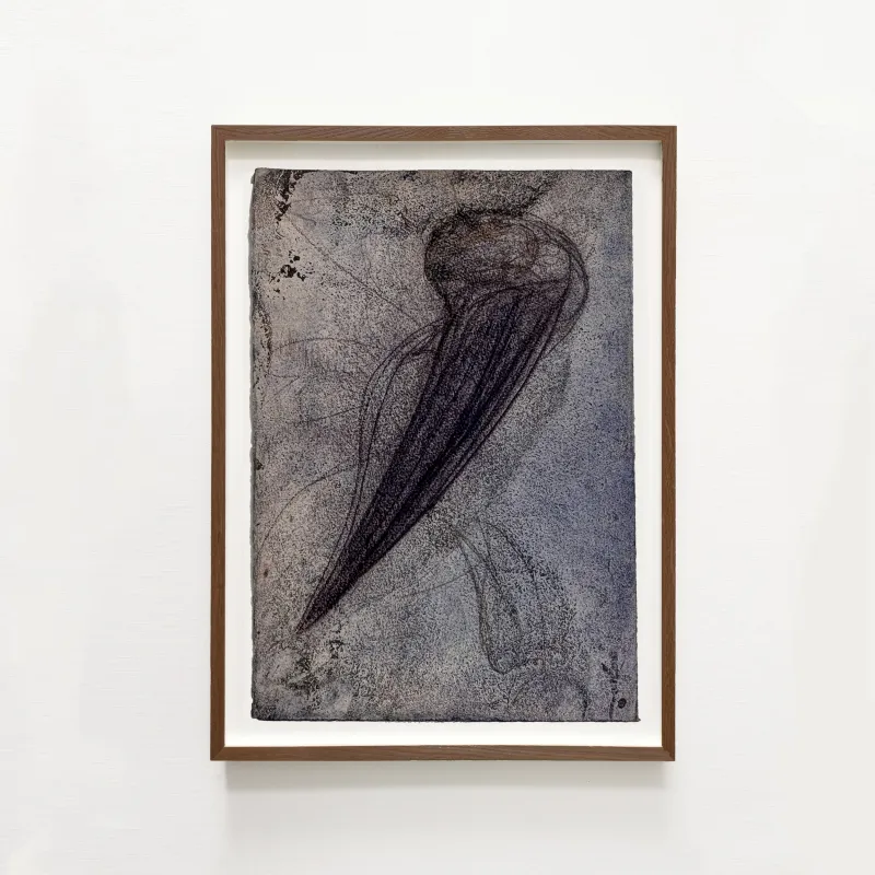 John Olsen: Næb, 2008.