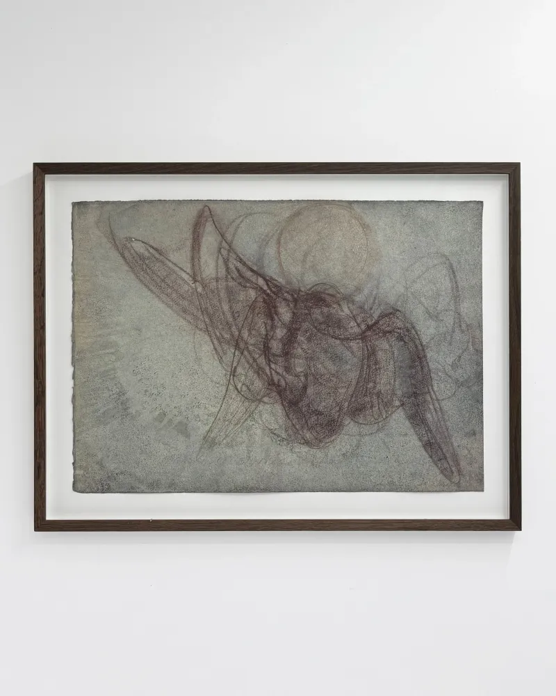 John Olsen: Vinger, 2006