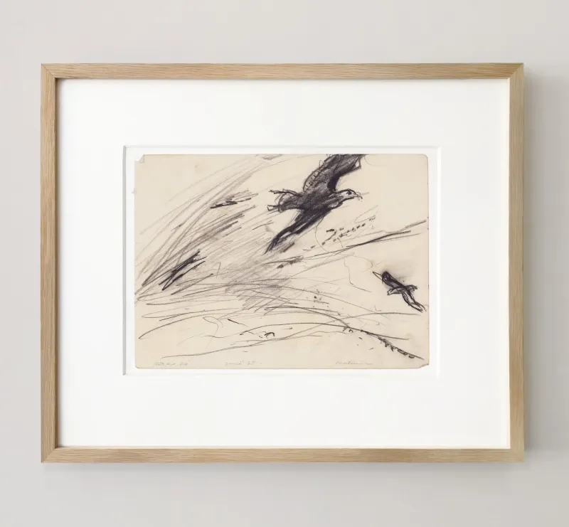 John Olsen: Mallemukken, 1965
