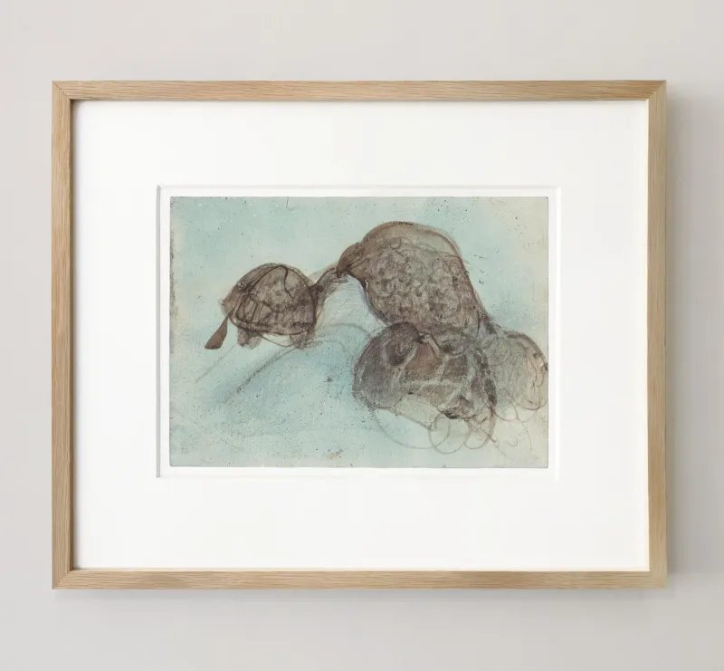 John Olsen: Skildpadde