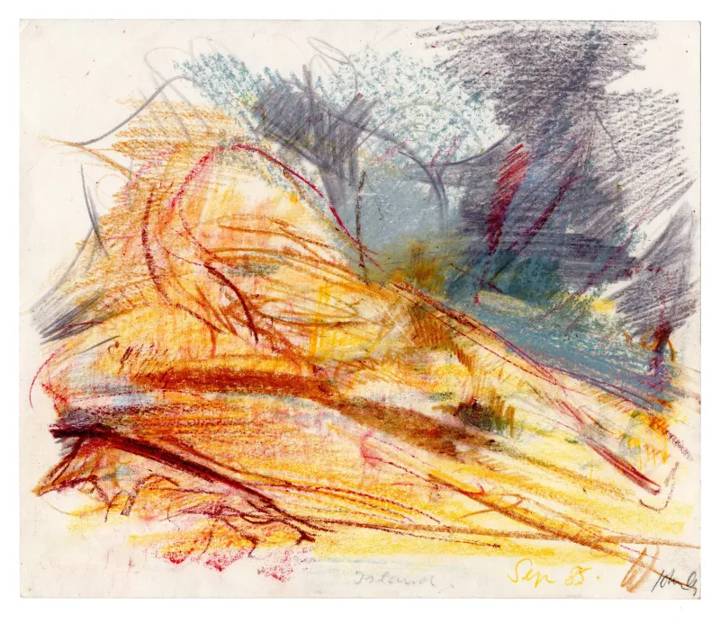 John Olsen: Island, 1985