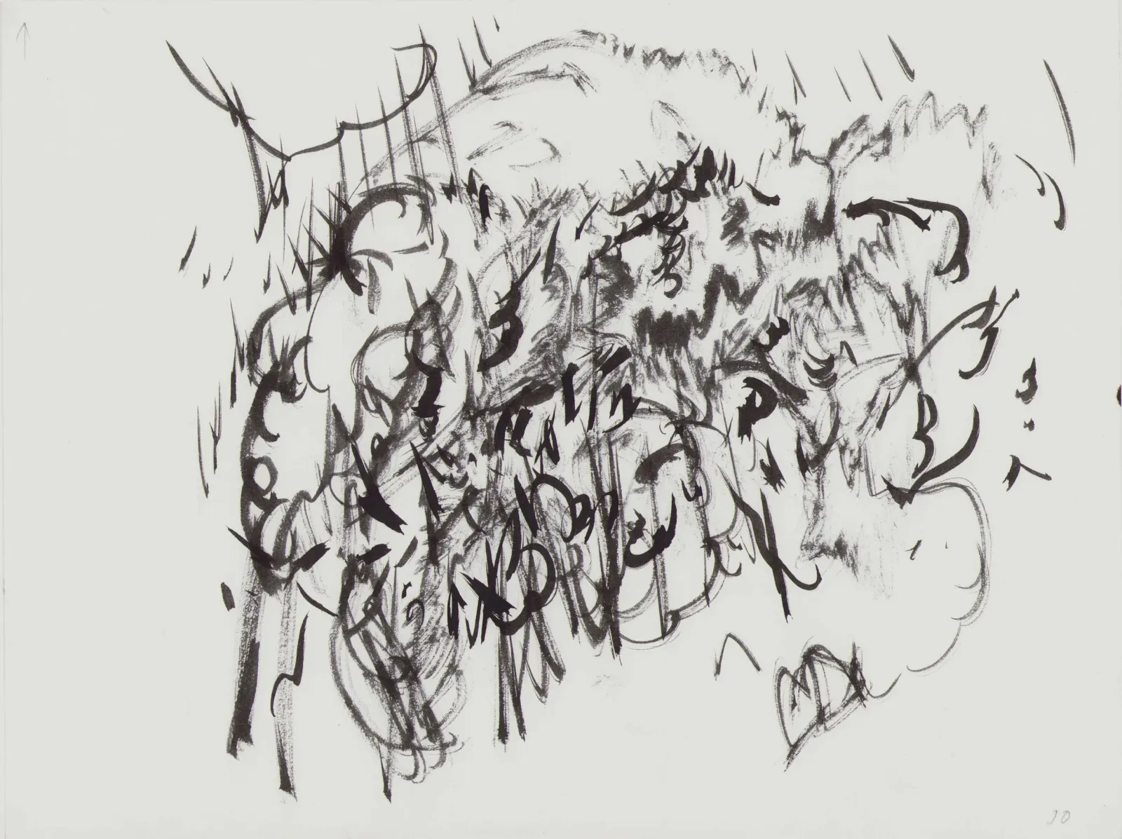 John Olsen: Krat/sky