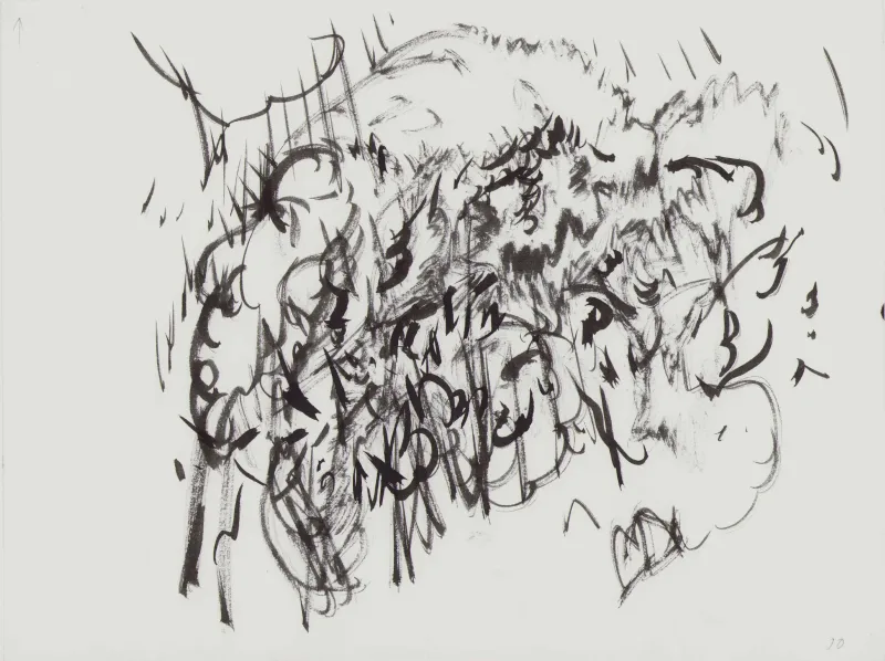 John Olsen: Krat/sky