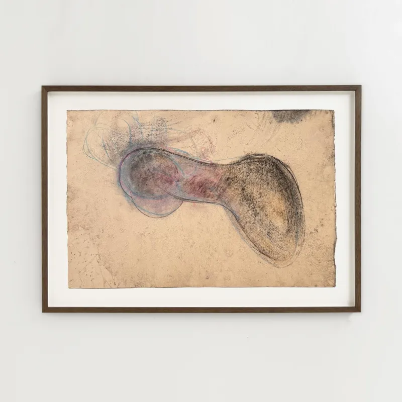 John Olsen: Bløddyr