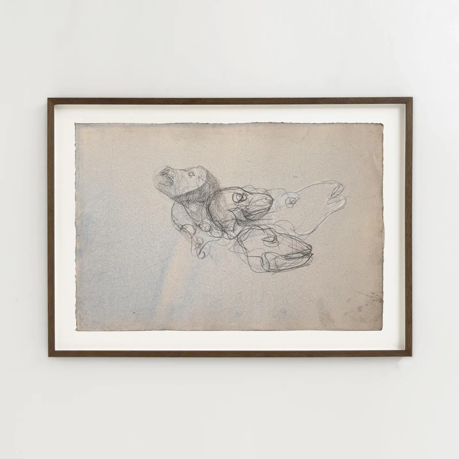 John Olsen: Fårehoveder