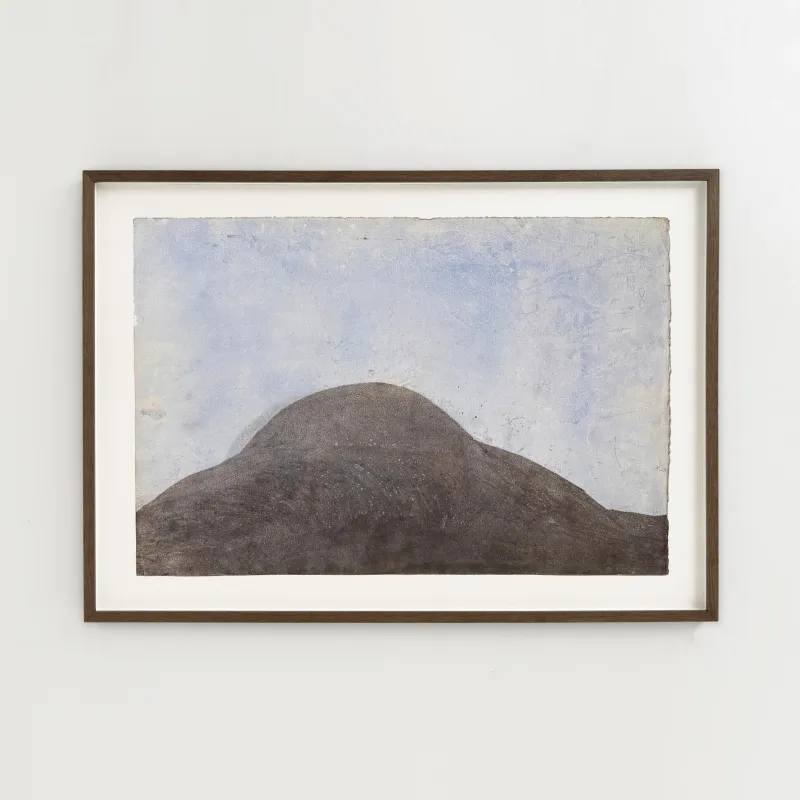 John Olsen: Bakketop