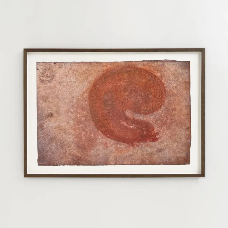 John Olsen: Nautil