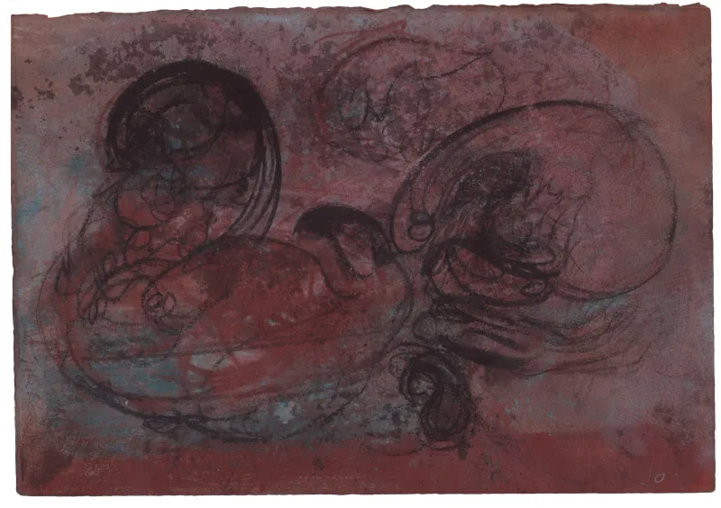 John Olsen: Fjerdragt