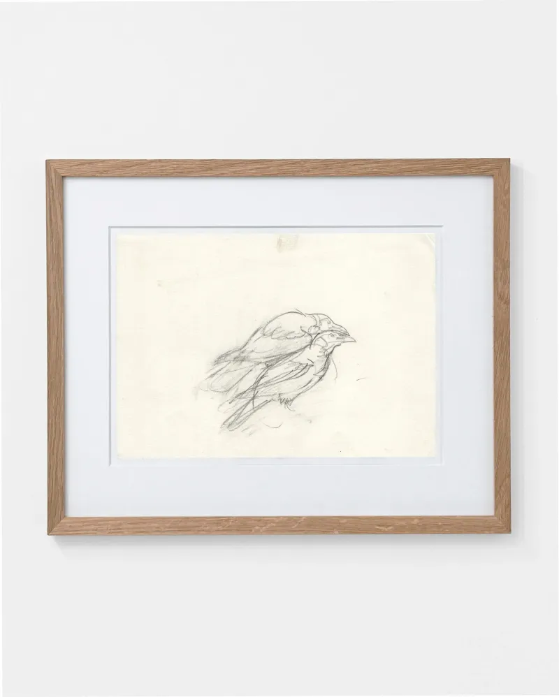 John Olsen: To ravne, u.d.