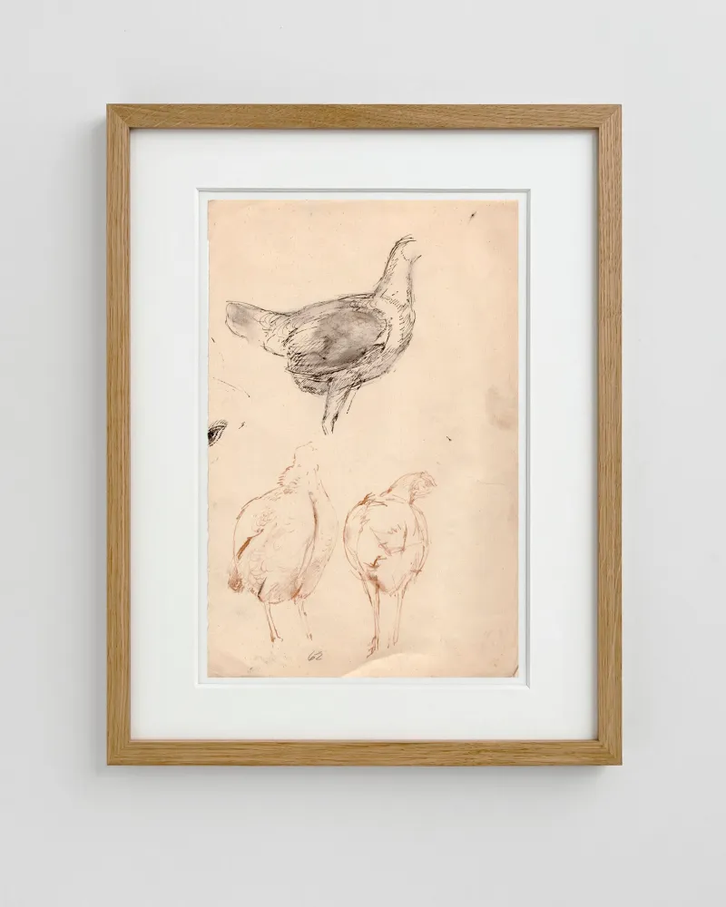 John Olsen: Studie af høns, 1962