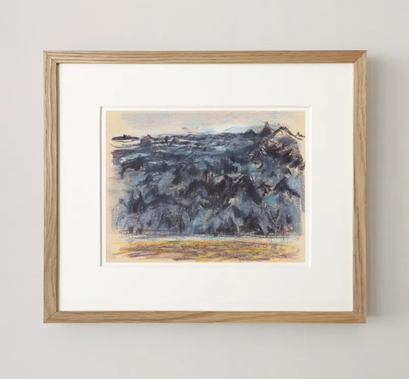 John Olsen: Island, 1992