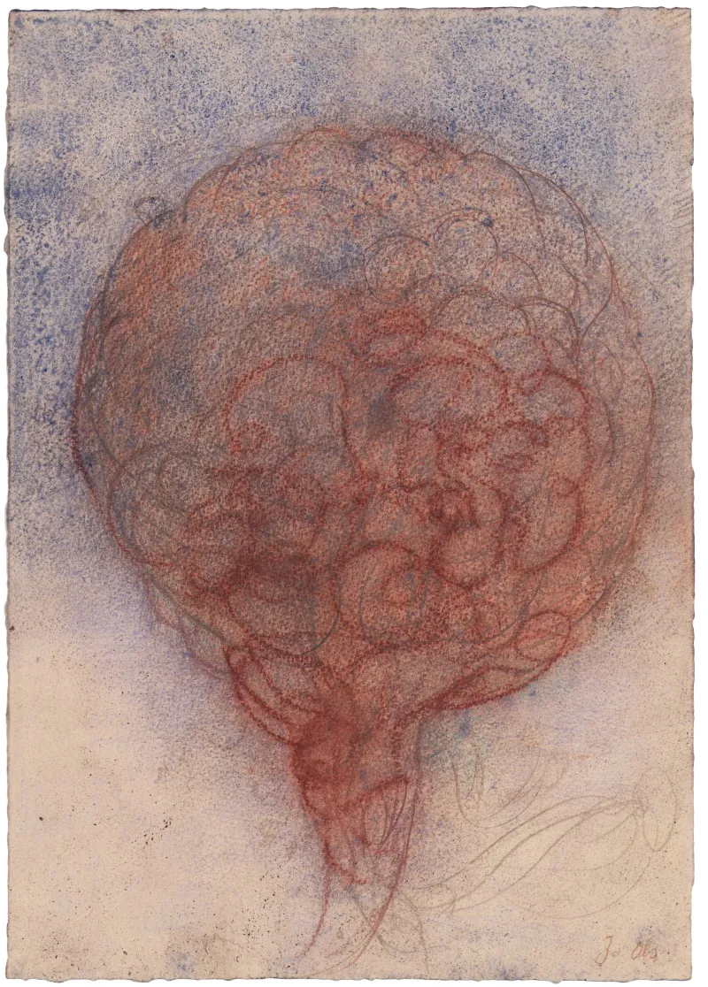 John Olsen: Maveballon