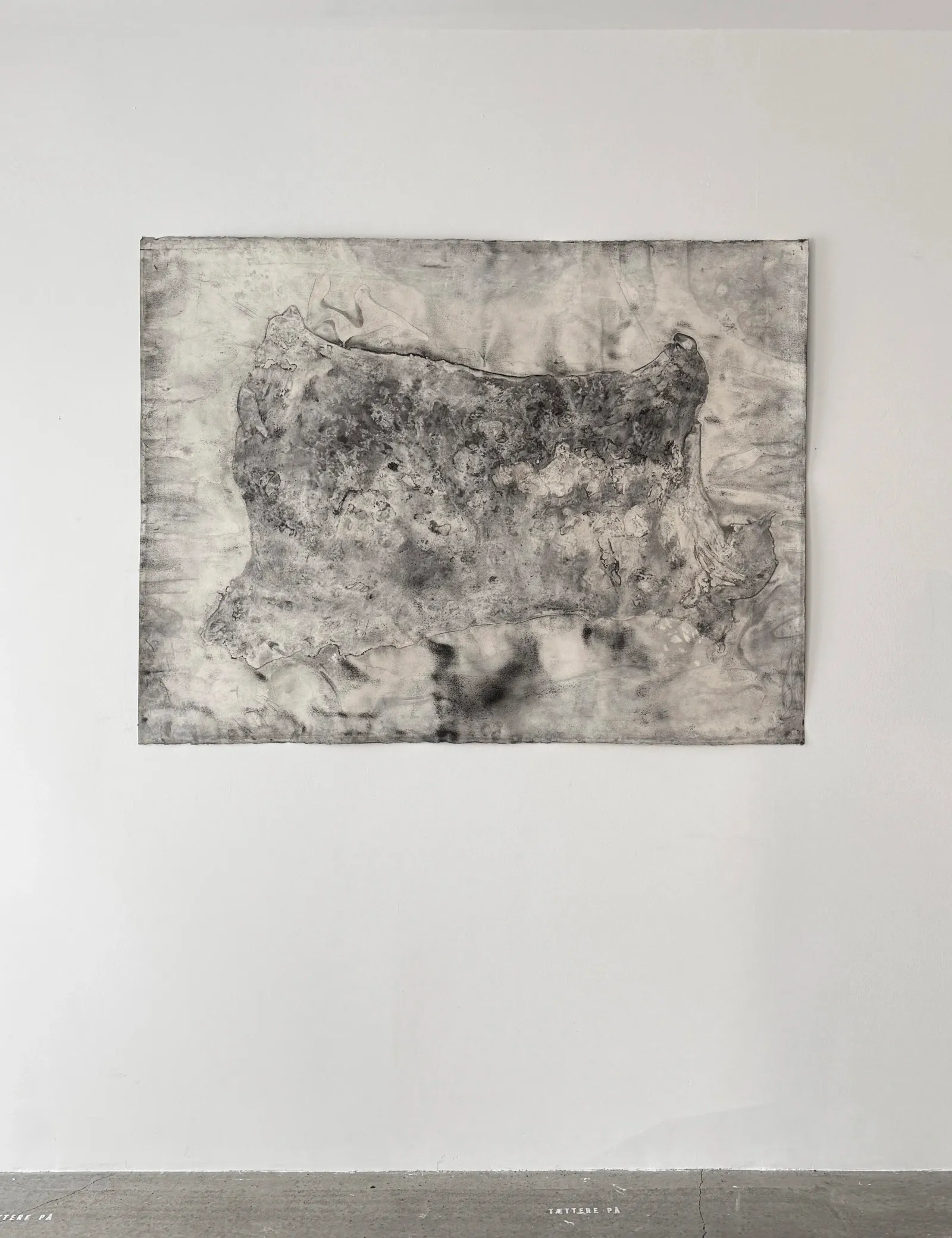 John Olsen: Skind