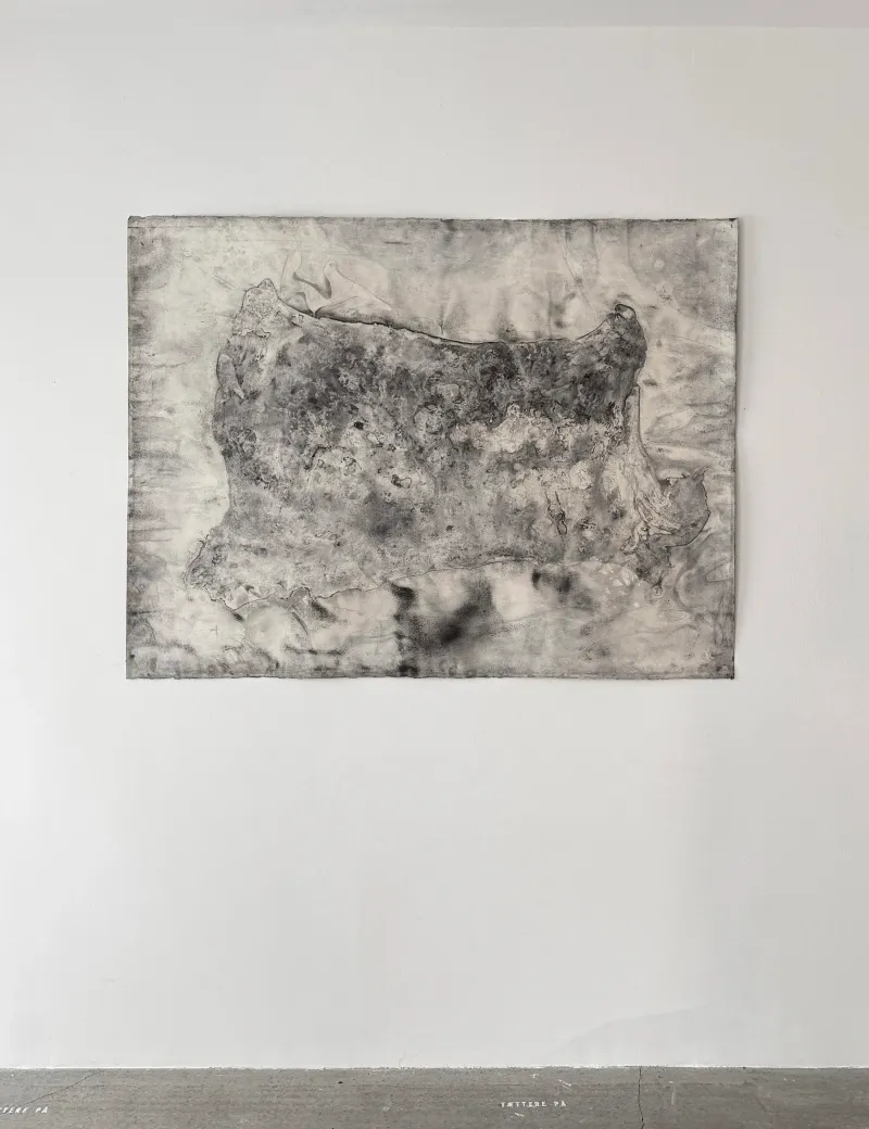 John Olsen: Skind