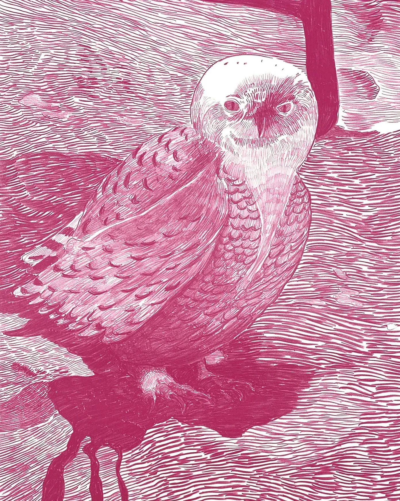 Morten Schelde: The End of Dinosaurs, 2023 (Inkl. indramning)