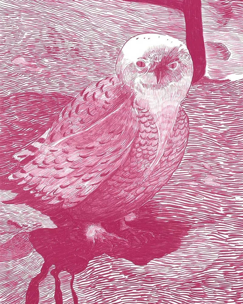 Morten Schelde: The End of Dinosaurs, 2023 (Inkl. indramning)