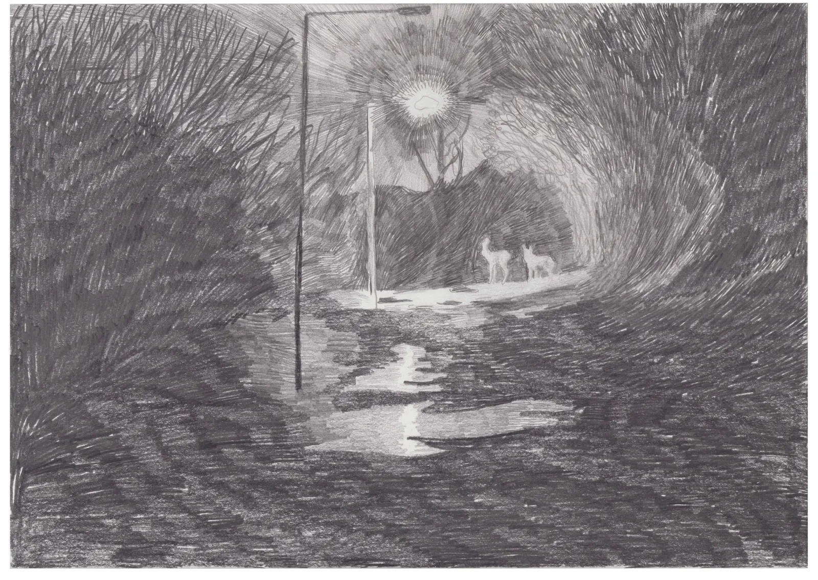 Morten Schelde: Skagen (Night Path), 2024