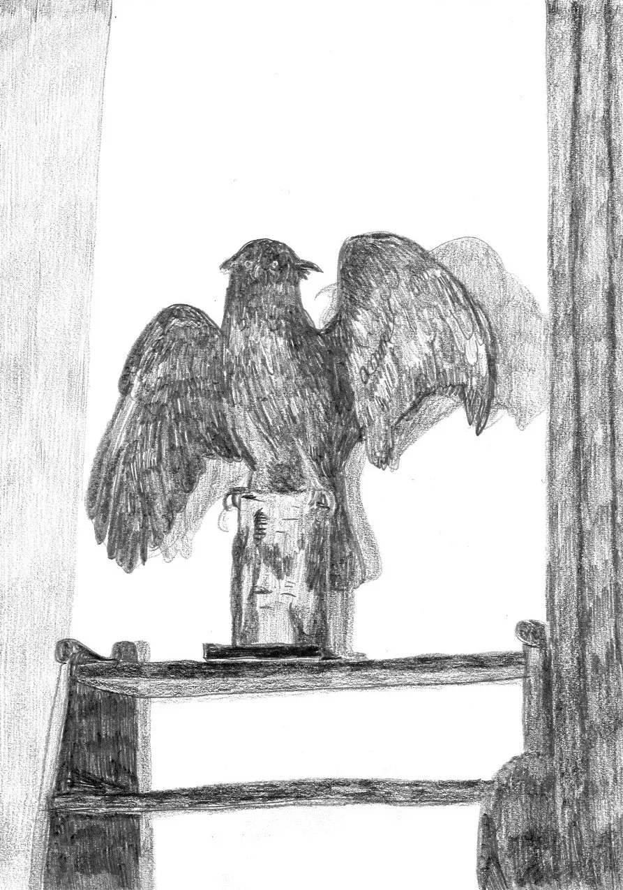 Morten Schelde: Owl, 2022
