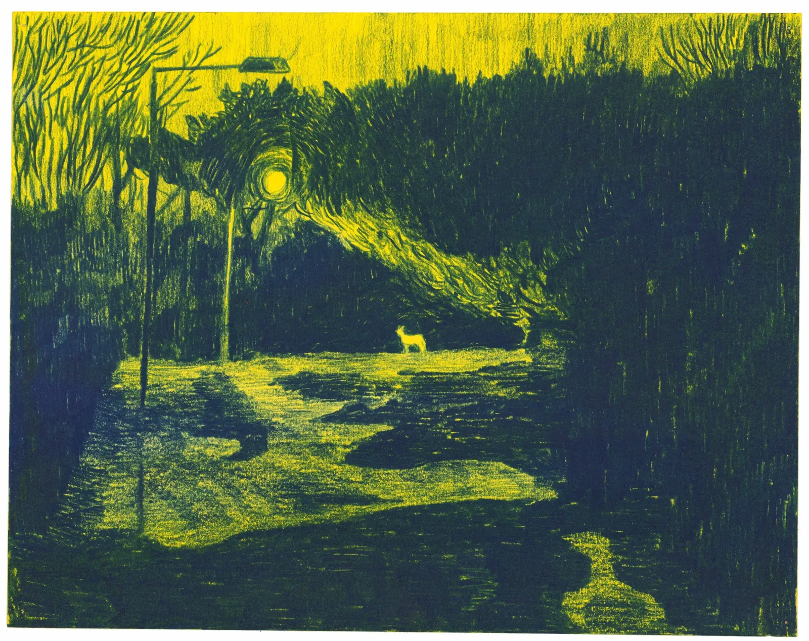 Morten Schelde: Path At Night, 2024