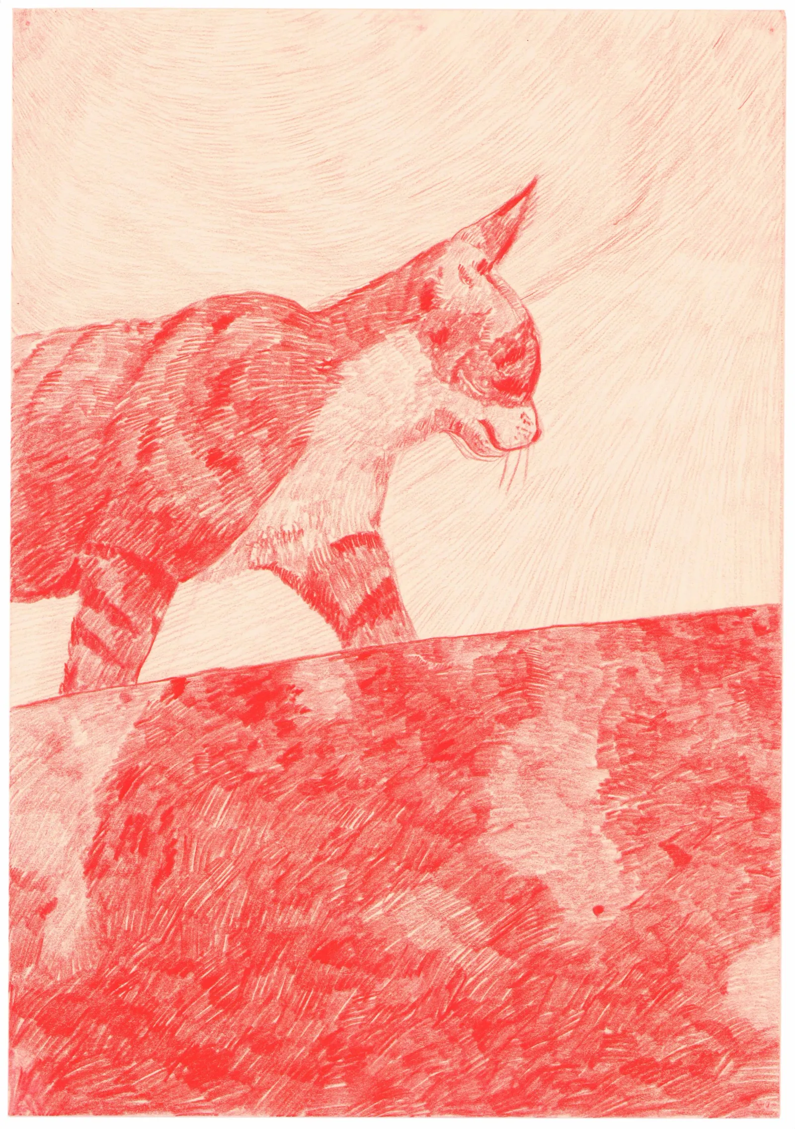 Morten Schelde: Kat, 2004