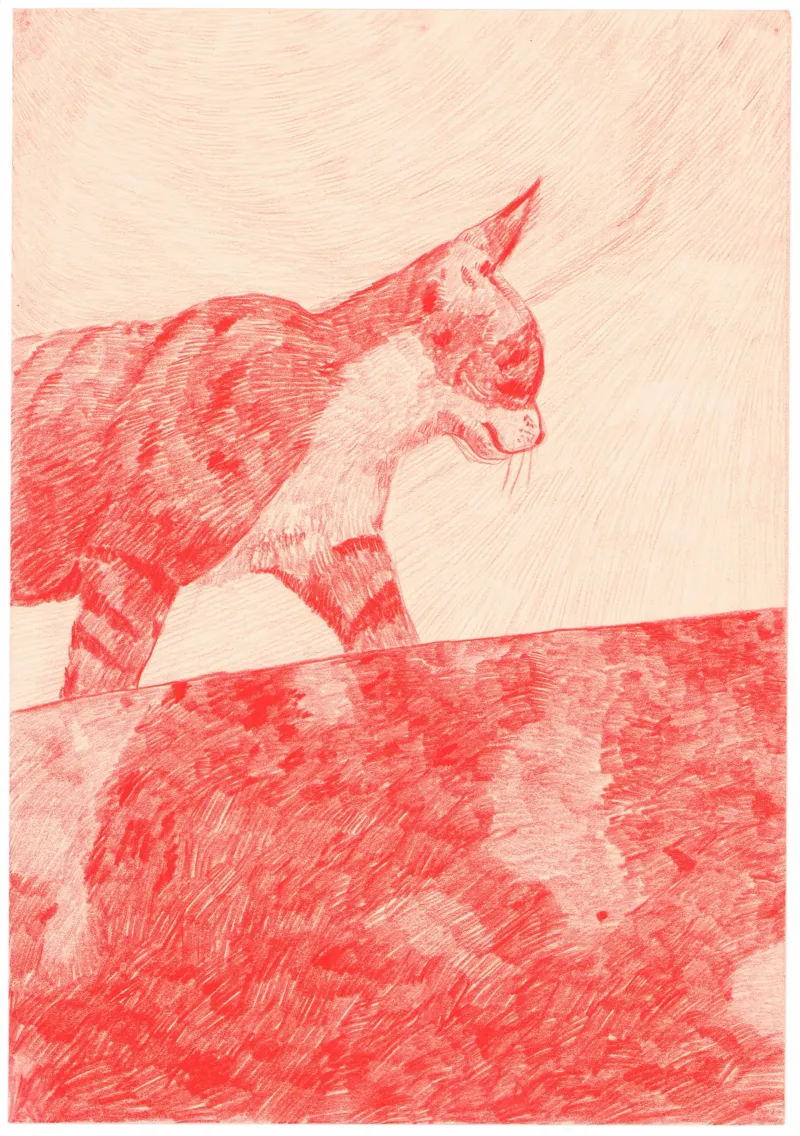 Morten Schelde: Kat, 2004