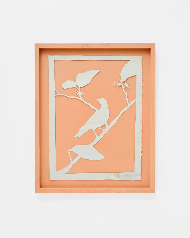 Bobbye Fermie: Morning Song, 2024