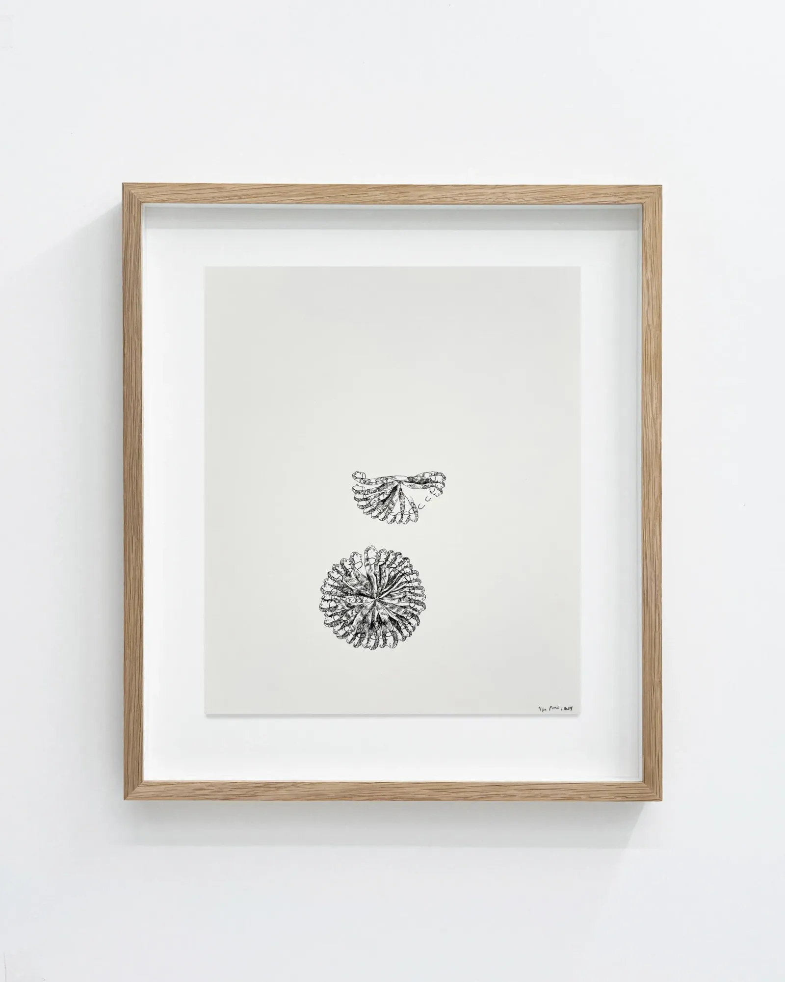 Signe Parkins: Uden titel, 2024