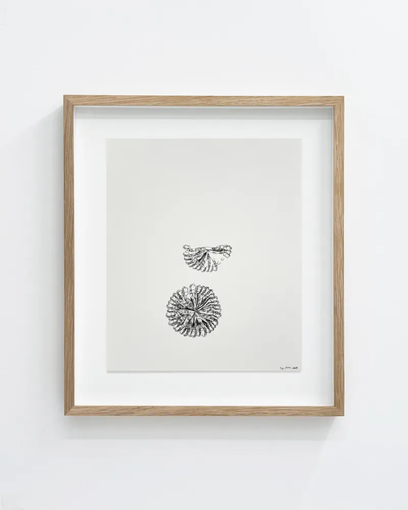 Signe Parkins: Uden titel, 2024