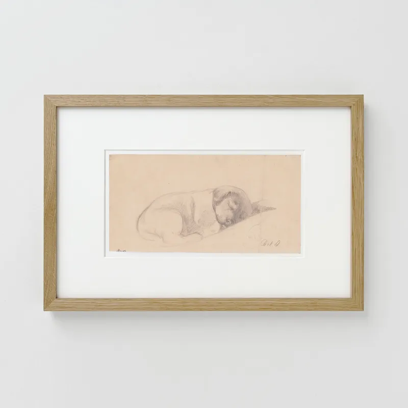 Cilius Andersen: Sovende hundehvalp