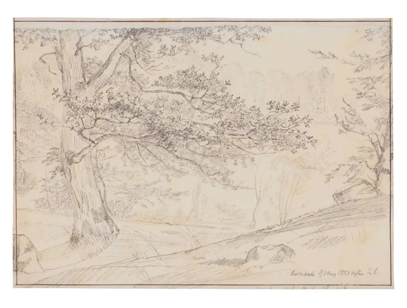 I.P. Møller: Skovparti, augustaften, 1851