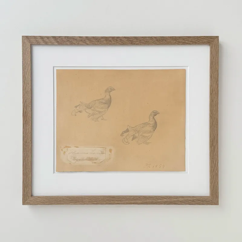 Johannes Larsen: Urfugle, 1958
