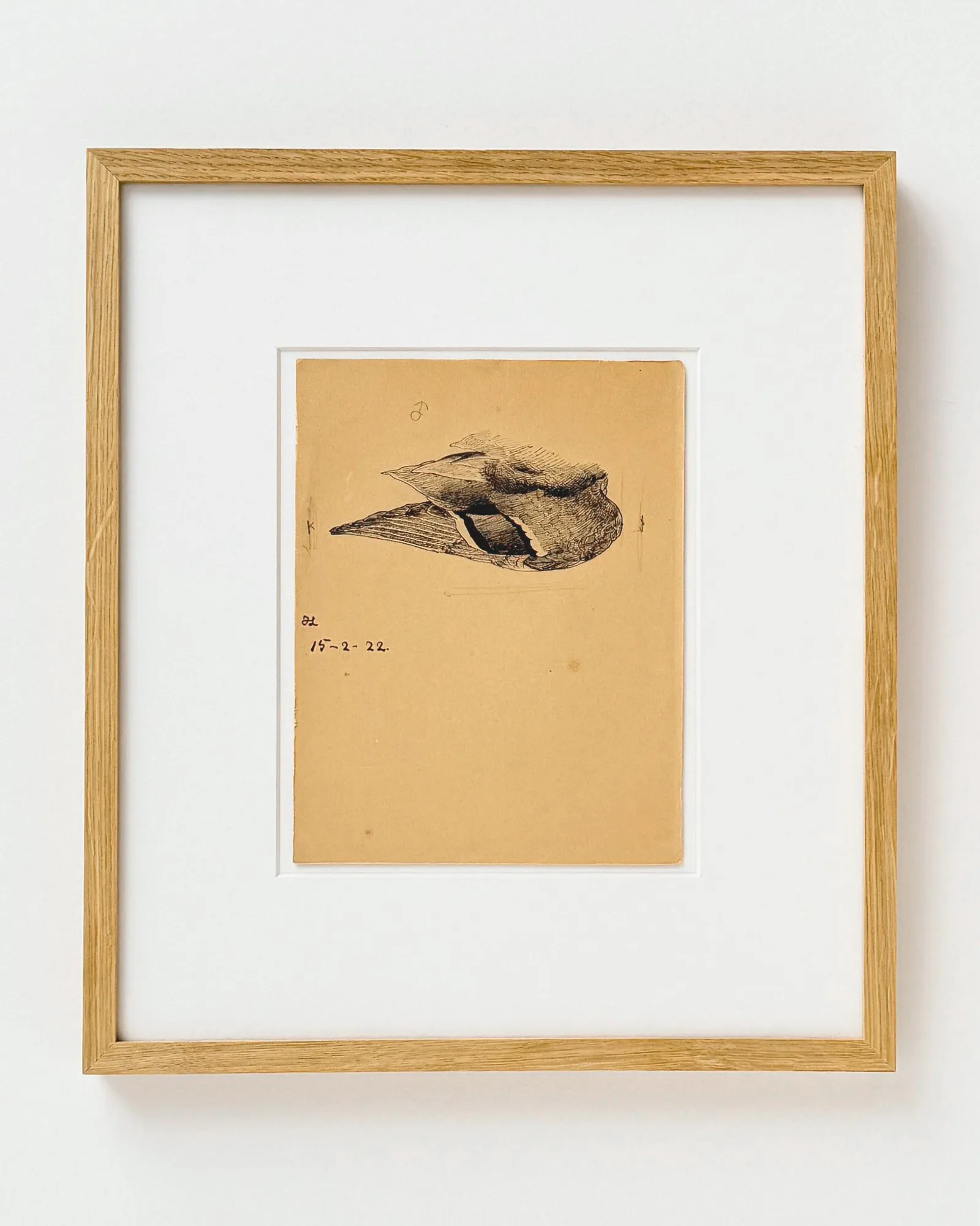 Johannes Larsen: Andevingestudie, 1922