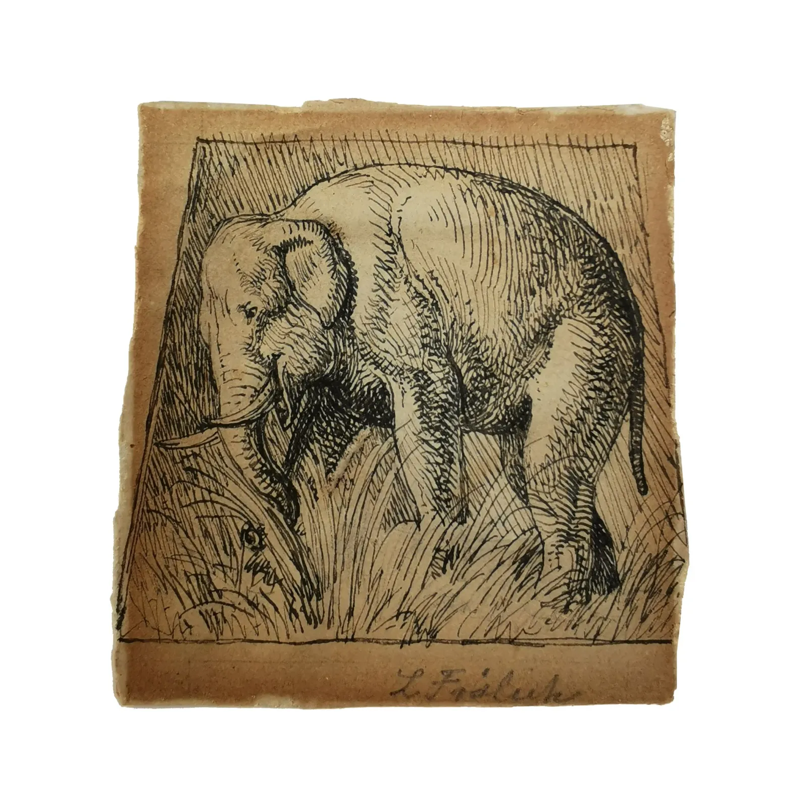 Lorenz Frølich: Elefant, der plukker et græs, 1840