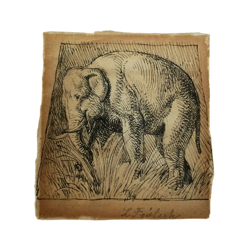 Lorenz Frølich: Elefant, der plukker et græs, 1840