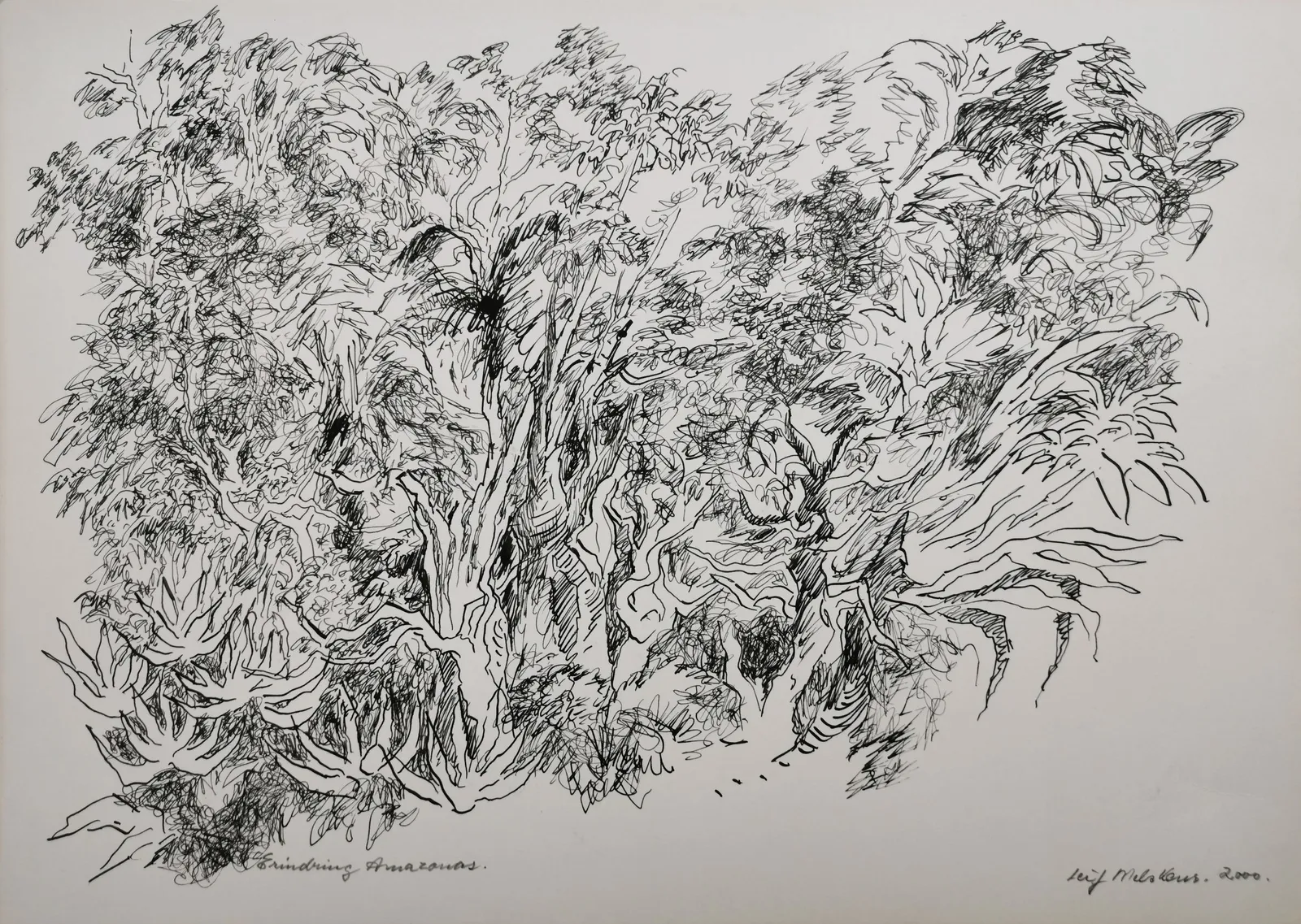 Leif Melskens: Erindring Amazonas