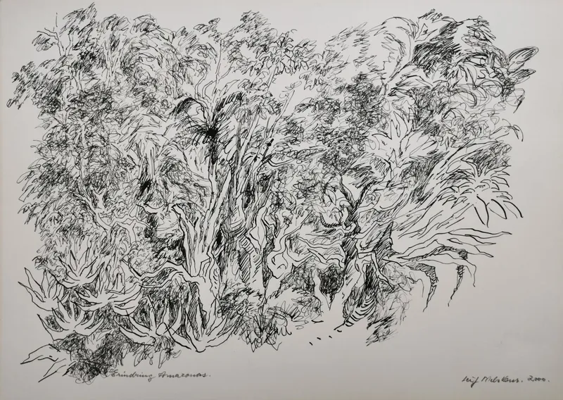 Leif Melskens: Erindring Amazonas