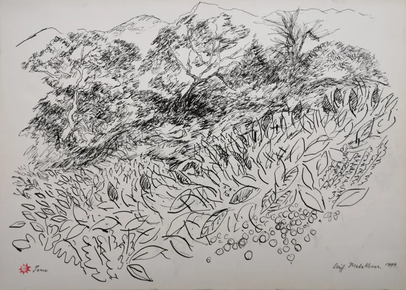 Leif Melskens: Peru