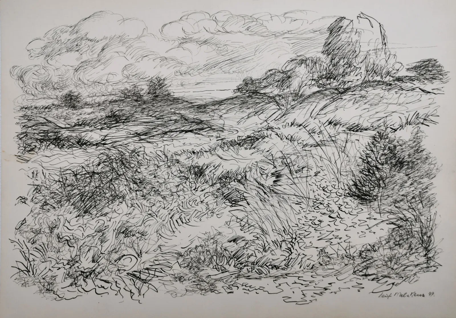 Leif Melskens: Skyerne, bjerget