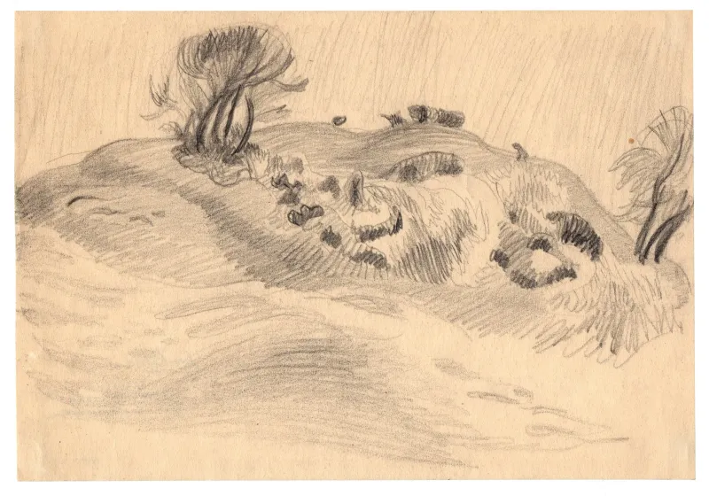 Sikker Hansen: Landskab fra Rebild bakker