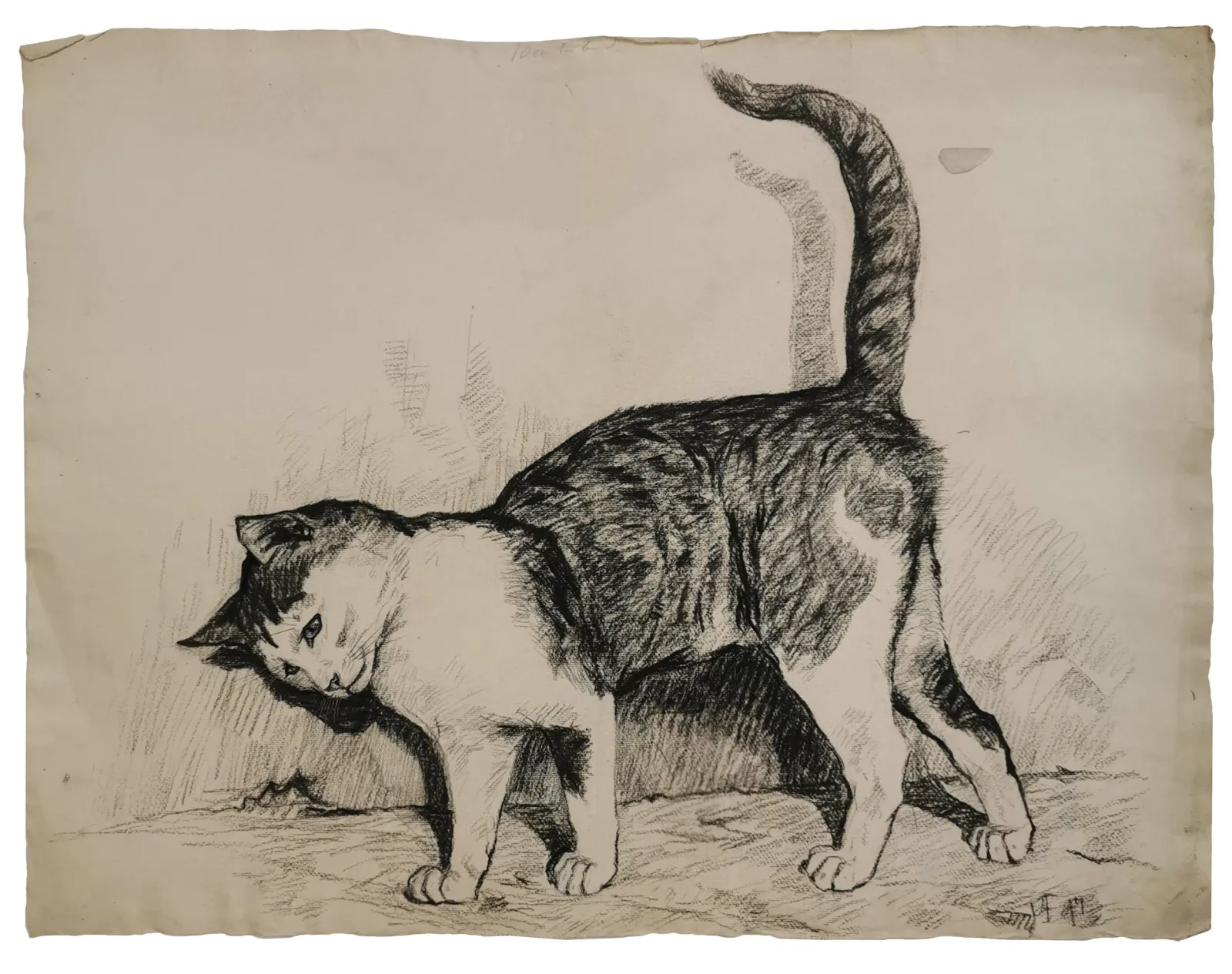 Vilh. Th. Fischer: Kat, 1897