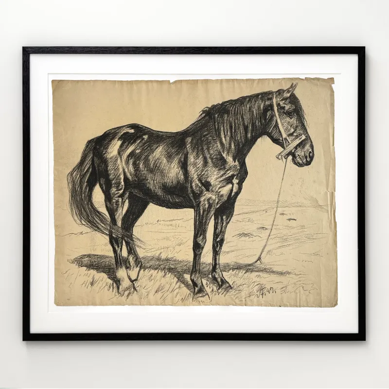 Vilh. Th. Fischer: Sort hingst, 1897