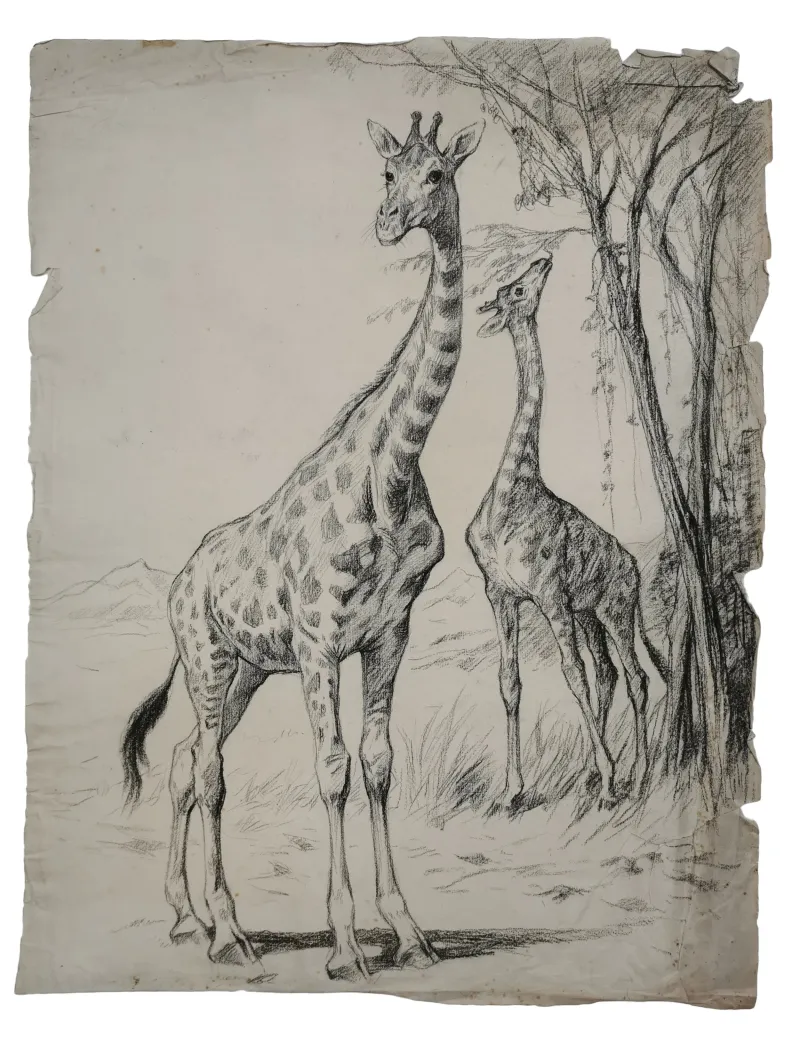 Vilh. Th. Fischer: Giraffer, 1897