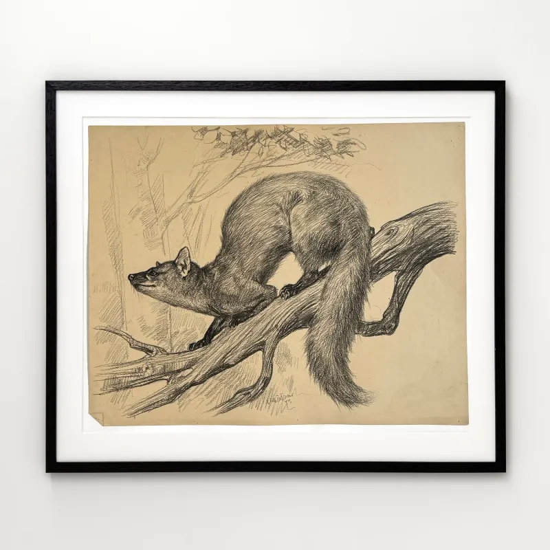 Vilh. Th. Fischer: Ilder, 1897