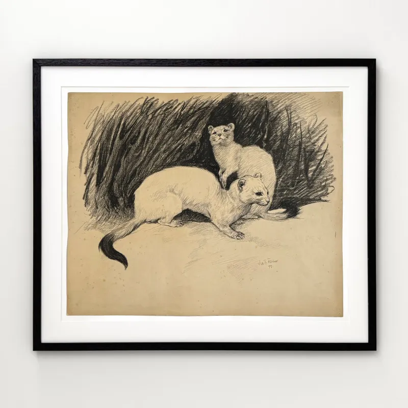 Vilh. Th. Fischer: Hermeliner, 1897