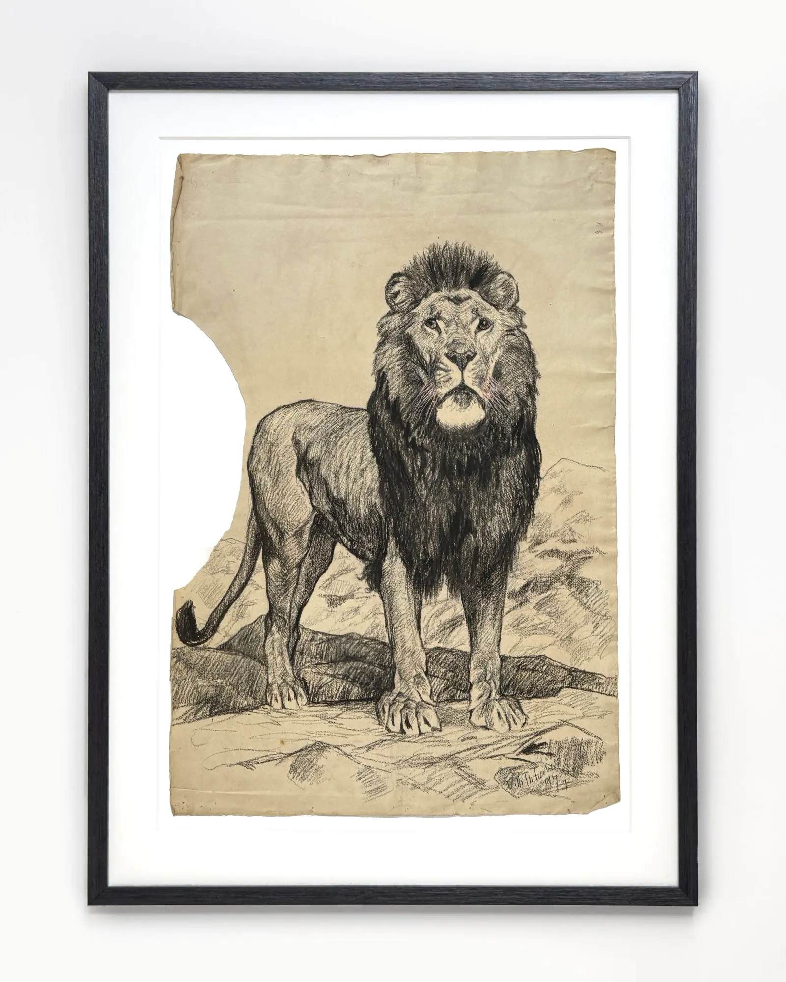 Vilh. Th. Fischer: Løve, 1897