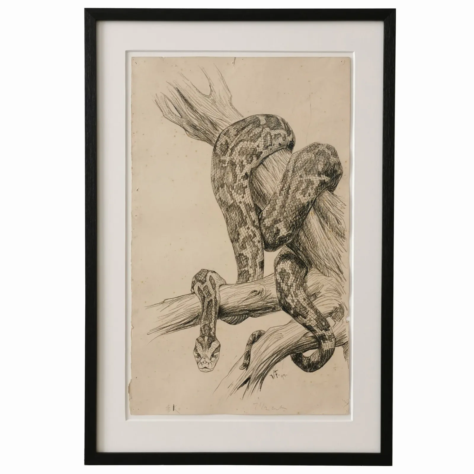 Vilh. Th. Fischer: Slange, 1897