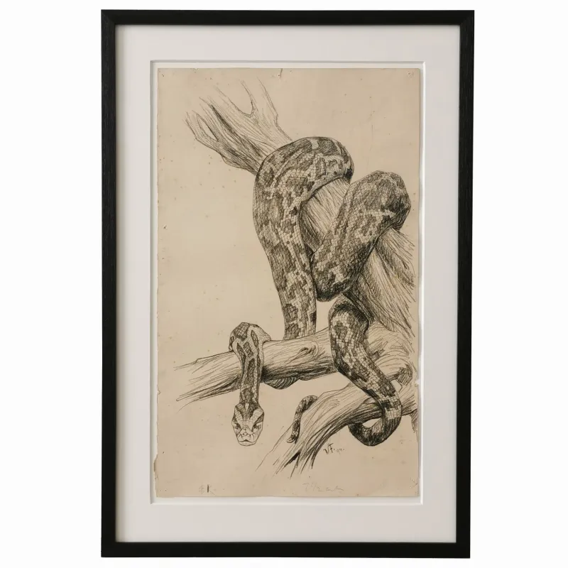 Vilh. Th. Fischer: Slange, 1897