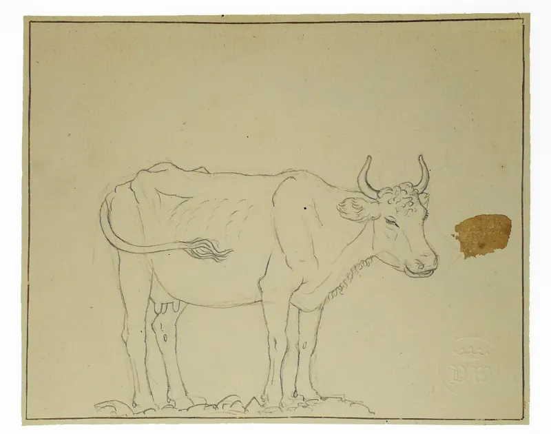 Wilhelm Bendz: Studie af en ko