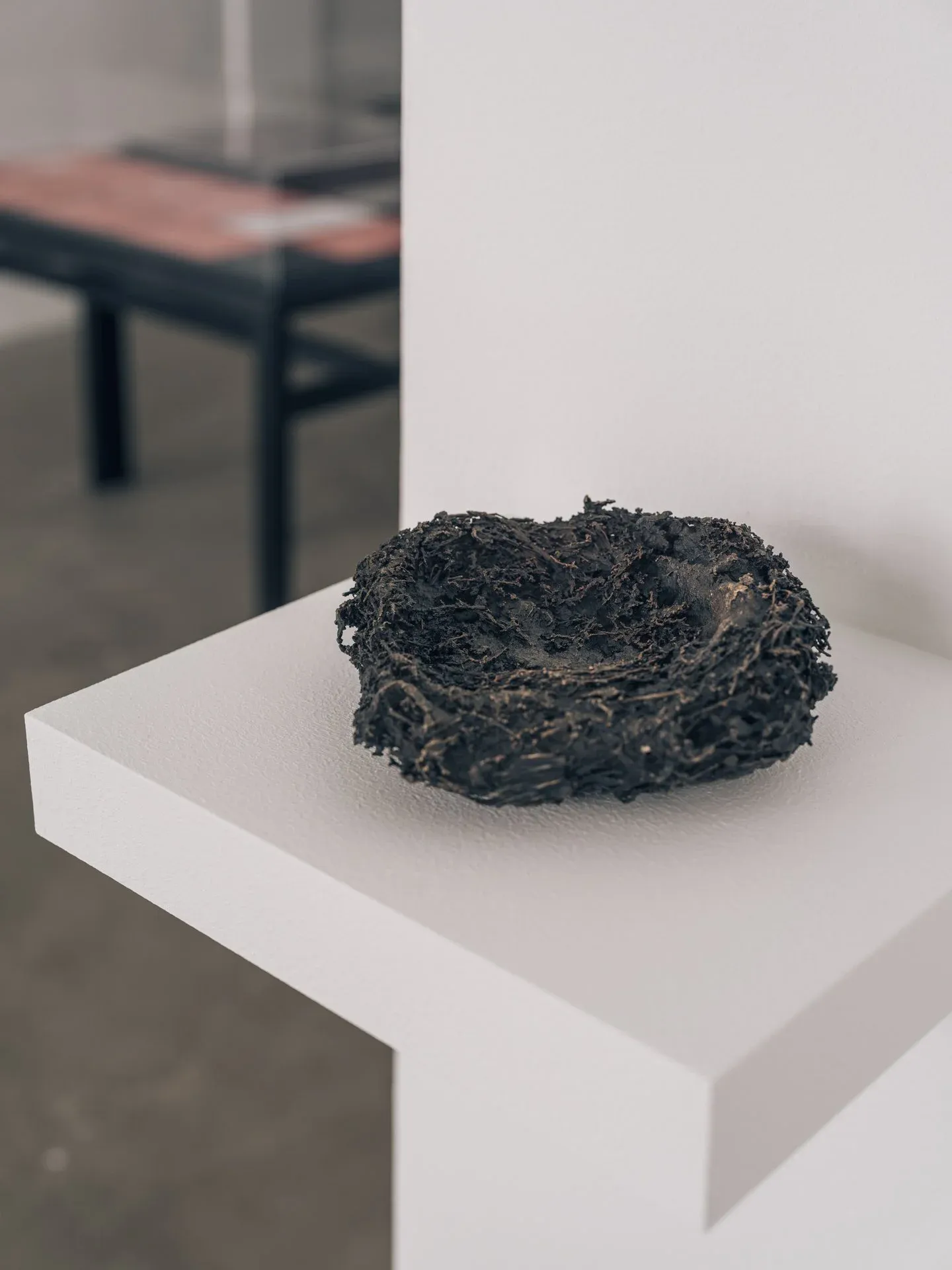 Tina Maria Nielsen: Birds leave their nest, 2019